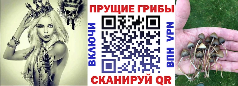 Псилоцибиновые грибы Cubensis  Сатка 